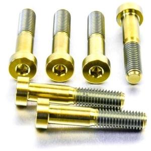 PRO BOLT プロボルト ブレンボ キャリパー ピンチ ボルト カラー：ゴールド ZX-10R ...