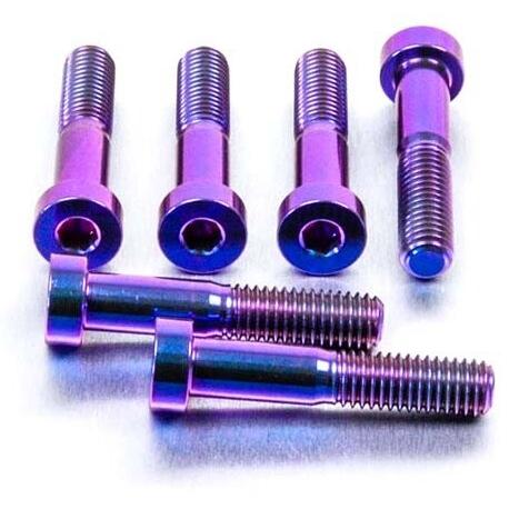 PRO BOLT プロボルト ブレンボ キャリパー ピンチ ボルト カラー：パープル ZX-10R ...