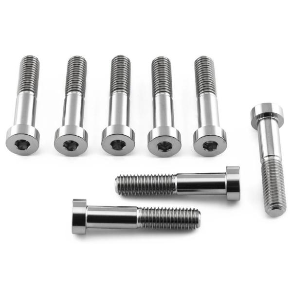 PRO BOLT プロボルト ブレンボ キャリパー ピンチ ボルト カラー：ナチュラルチタン APR...