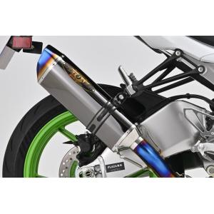 BEET ビート NASSERT Evolution TypeII フルエキゾーストマフラー サイレ...