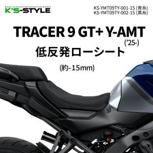 力造（Rikizoh） リキゾウ トレッキングシートEX KLX230 KAWASAKI