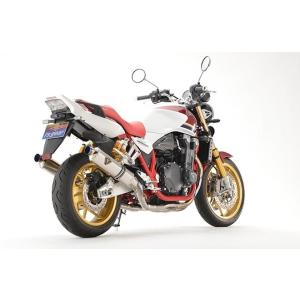 r’s gear アールズギア FINAL記念モデル ワイバンR チタンフルエキゾースト ツイン S...