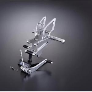 TSR テクニカルスポーツレーシング STEP KIT 2P(逆チェンジ) CBR1000RR HO...