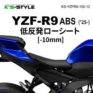 STRIKER（ストライカー） カーボンリヤフェンダー ZX-14R KAWASAKI