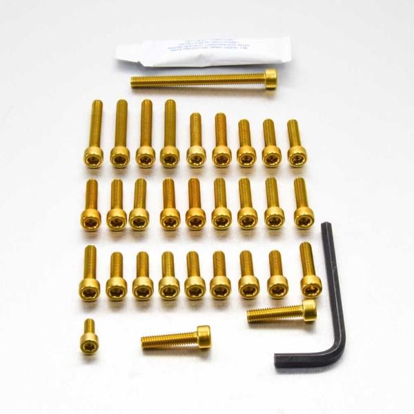 PRO BOLT プロボルト エンジンボルトキット カラー：ゴールド ZX-10R KAWASAKI...