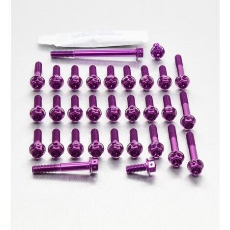 PRO BOLT プロボルト エンジンキット カラー：パープル ZX-10R KAWASAKI カワ...