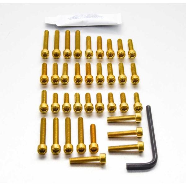 PRO BOLT プロボルト エンジンボルトキット カラー：ゴールド ZX-10R Ninja KA...