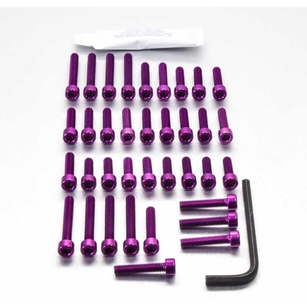 PRO BOLT プロボルト エンジンボルトキット カラー：パープル ZX-10R Ninja KA...