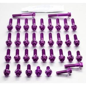 PRO BOLT プロボルト エンジンキット カラー：パープル ZX-10R Ninja KAWAS...