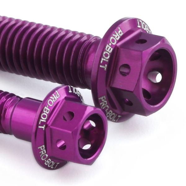 PRO BOLT プロボルト エンジンキット カラー：パープル Ninja ZX-6R KAWASA...