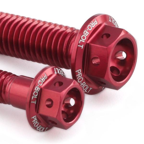 PRO BOLT プロボルト エンジンキット カラー：レッド Ninja ZX-6R KAWASAK...