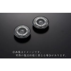 OVER オーヴァー ピボットホールプラグ カラー：ガンメタルアルマイト仕上げ Ninja ZX-2...