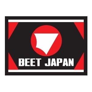 BEET ビート レーシングフロアマット mini カラー：BEETJAPAN RED メンテナンス...