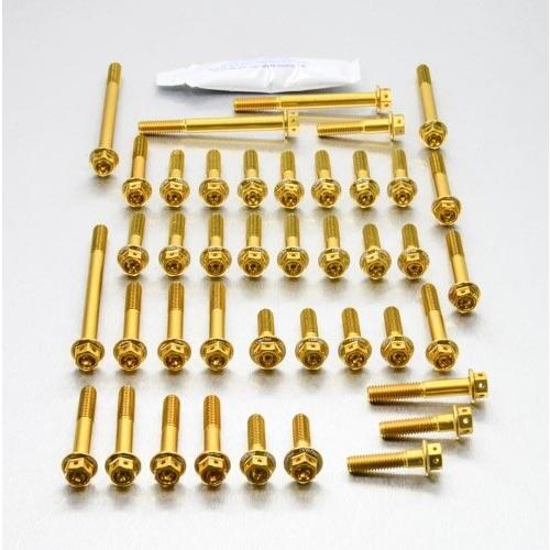 PRO BOLT プロボルト エンジンキット レーススペック Etched カラー：ゴールド GSX...