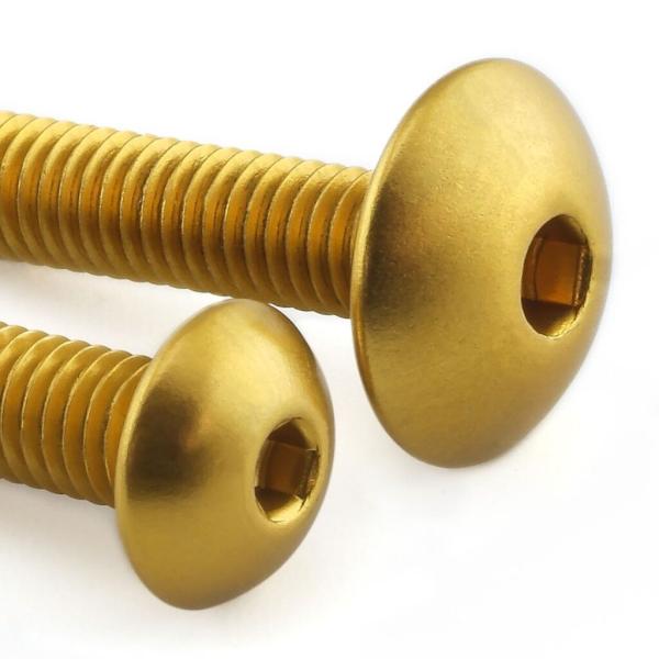 PRO BOLT プロボルト フェアリングキット カラー：ゴールド Ninja ZX-6R KAWA...