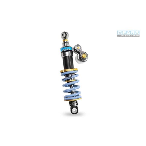 GEARS RACING ギアーズレーシング H2P リアサスペンション カラー：ブルー Can-A...