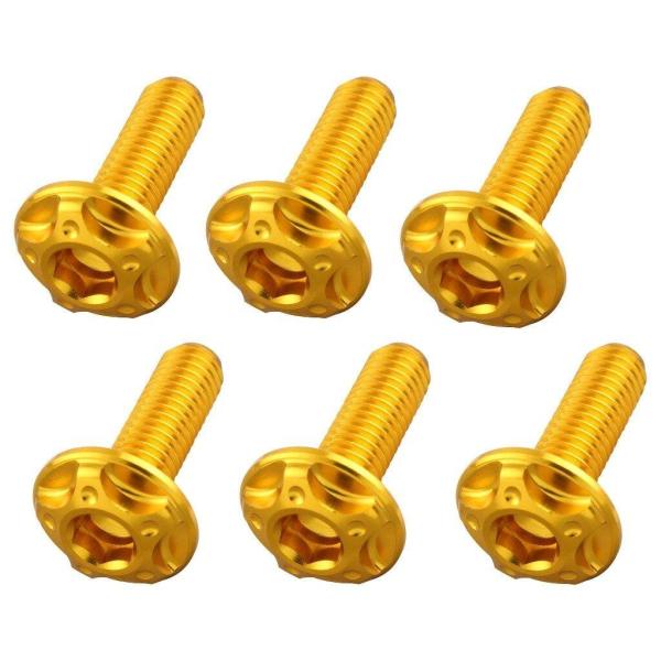 POSH Faith ポッシュ フェイス スクリーンボルトセット カラー：ゴールド HONDA ホン...