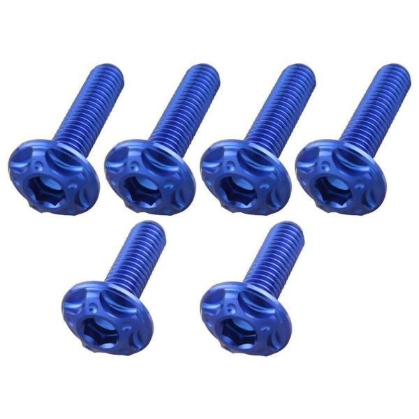 POSH Faith ポッシュ フェイス スクリーンボルトセット カラー：ブルー HONDA ホンダ...