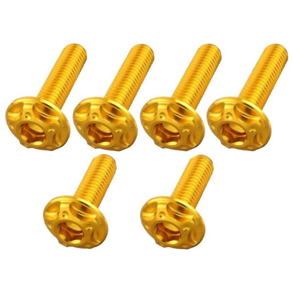 POSH Faith ポッシュ フェイス スクリーンボルトセット カラー：ゴールド HONDA ホン...