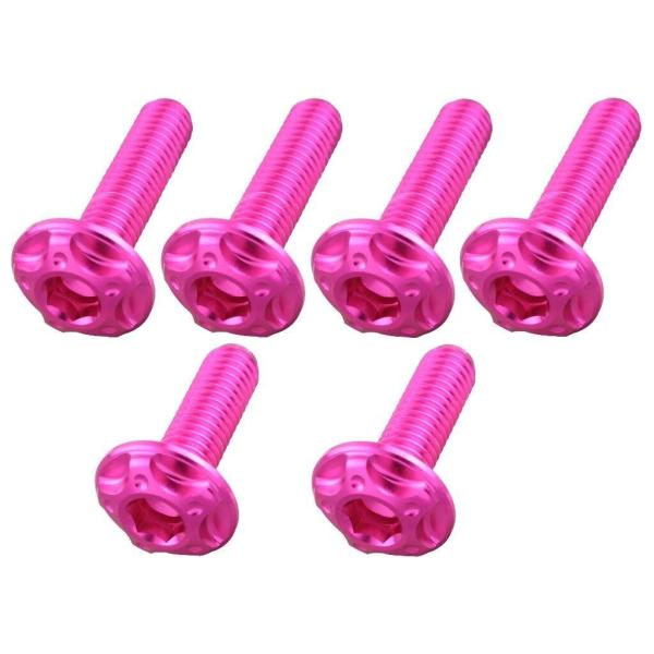 POSH Faith ポッシュ フェイス スクリーンボルトセット カラー：ピンク HONDA ホンダ...