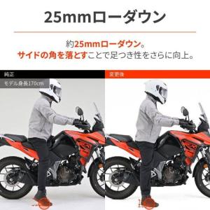 DAYTONA デイトナ 快適ローダウンシート...の詳細画像3