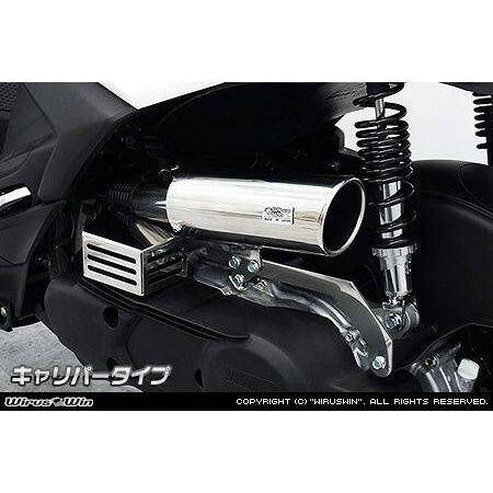 WirusWin ウイルズウィン エアクリーナーキット キャリパータイプ シグナスX【7型】 YAM...