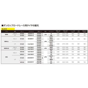 DUNLOP ダンロップ SPORTMAX SLICK 【200/60R17】 スポーツマックス ス...