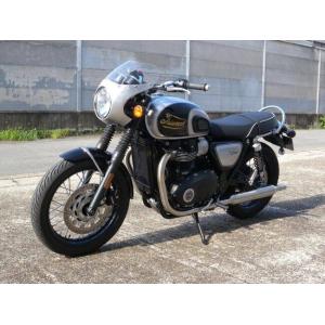 WM ダブルエム アルミビキニカウルキット B...の詳細画像4
