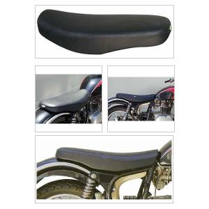 Garage T＆F ガレージ フラットフェンダーキット ビラーゴ250(XV250