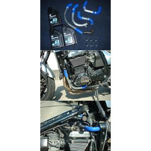 PLEASURE プレジャー サイドルーバー ZZR1100(D) KAWASAKI カワサキ