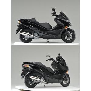 フォルツァ MF10 マフラー ROSSO ライネス 110φ 29-007-00 リアライズ