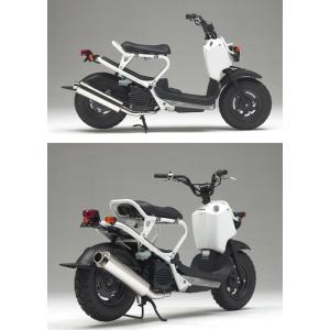 SOLID UP（ソリッドアップ） アンダーカウル ZOOMER [ズーマー] AF58