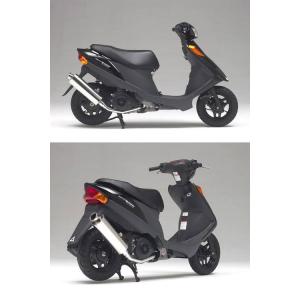 KN企画 ケイエヌキカク サイレントストリートマフラー アドレスV125
