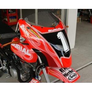 APE50/100 エイプ50/100 Z400FXタイプ サイドカバー FRP057 ACP