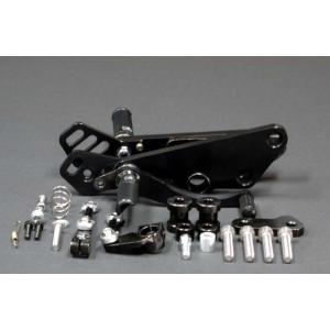 RZ250R シフトシャフトガイドプレート ブラック : Complsah Factory