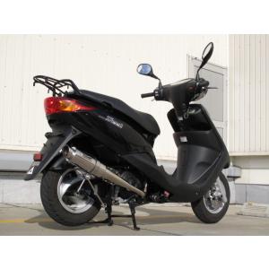 バキュームワルツ GS400 メッキ パステルロード 【送料無料】 15081