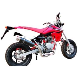 BEAMS SS300 フルエキゾーストマフラー サイレンサー：カーボン XR100モタード HON...