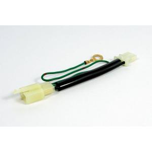 スペシャルパーツ武川 スーパーカブ50(FI/AA01-1700001-)用 サブ