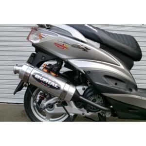 RSヨコタ レーシングショップヨコタ RSYビューティーメガホン：250TR 