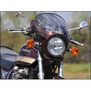 ワールドウォーク（WORLD WARK） ゼファー750 ビキニカウル タイプR