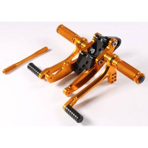 ZRX1200 DAEG（ダエグ）09年〜 SPI-K69 シフトポジション
