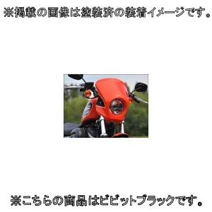 CHIC DESIGN CHIC DESIGN:シックデザイン ティーラナローヘッドカウル カラー：ビビッドブラック SPORTSTERファミリー HARLEY-DAVIDSON ハーレーダビッドソン