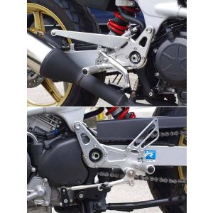 REALIZE（リアライズ） Realize VTR250 バイクマフラー VTR-F Type LD