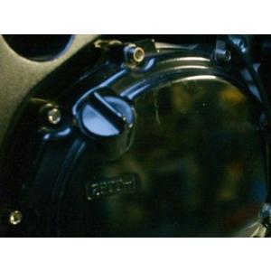 TITANIUM64 チタニウムロクジュウヨン ジェネレーターカバー用ボルト（左サイド） ZZR14...