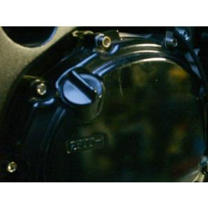 TITANIUM64 チタニウムロクジュウヨン ジェネレーターカバー用ボルト（左サイド） CB130...