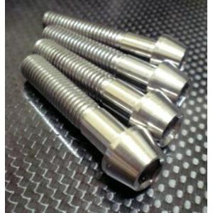 TITANIUM64 チタニウムロクジュウヨン フロントアクスルピンチボルト ZRX1100 ZRX...