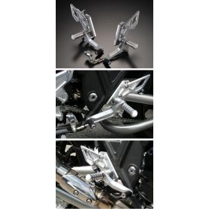 スペシャルパーツ武川 武川 KSR110用 オートデコンプカムシャフト(15