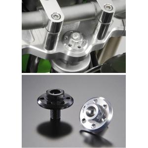 AGRAS アグラス センターナット カラー：シルバー KSR110 YZF-R15 YZF-R12...