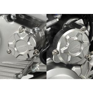 DELTA（デルタ） バレル4サイレンサー KLX250/Dトラッカー '-07