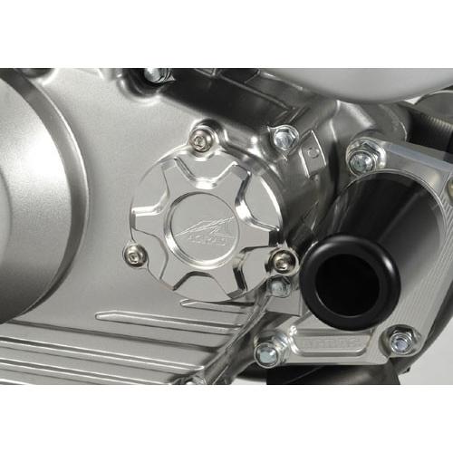 AGRAS アグラス オイルフィルターカバー カラー：レッド Dトラッカー125 KAWASAKI ...